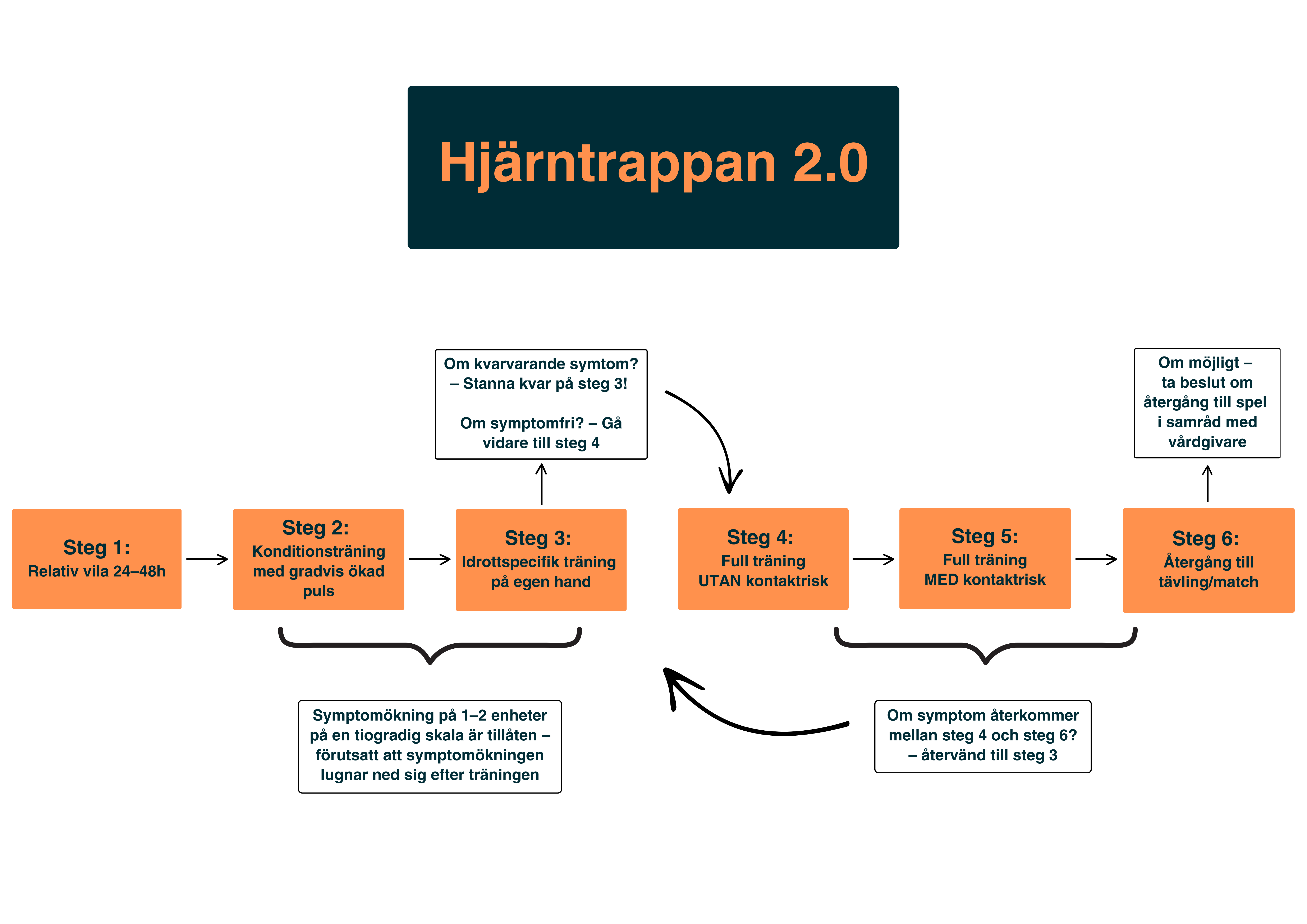 Hjärntrappan 2.0 horisontell